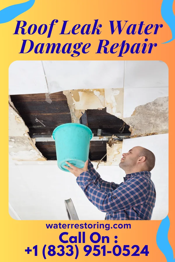 Roof Leak Water Damage Repair in Murrieta, CA